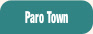 Paro Town.