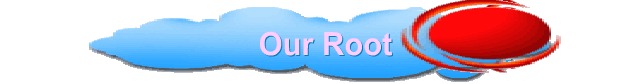 Our Root
